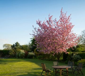 Van droomwoning tot wellnessparadijs